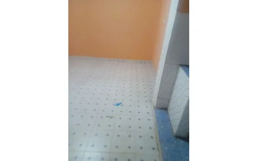 Bedsitter for Rentals in Komu