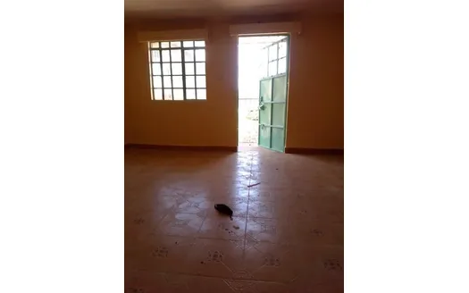 One bedroom for Rentals in KIST