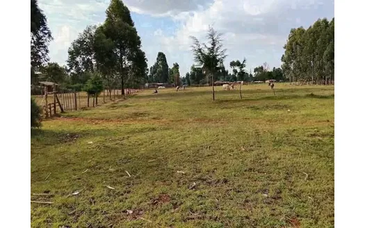 House for Rent in Eldoret